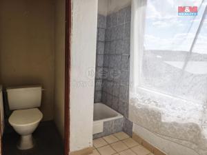 Prodej rodinného domu, Píšť, Ratibořská, 428 m2