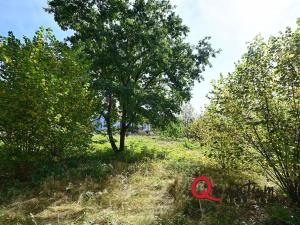 Prodej pozemku pro bydlení, Mrač, 1287 m2