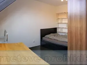 Pronájem pokoje, Praha - Nusle, Horní, 17 m2