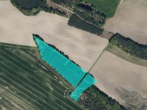 Prodej lesa, Rokytno, 44040 m2