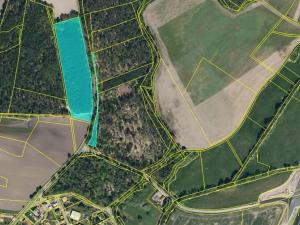 Prodej lesa, Rokytno, 44040 m2