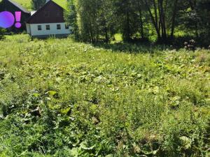 Prodej pozemku pro bydlení, Vikantice, 1385 m2