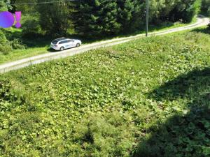 Prodej pozemku pro bydlení, Vikantice, 1385 m2