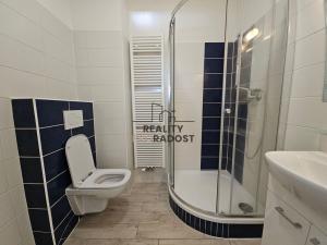 Pronájem bytu 1+kk, Hodonín, Měšťanská, 33 m2
