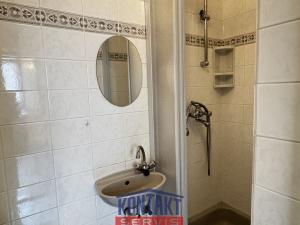 Pronájem vícegeneračního domu, České Budějovice - České Budějovice 5, I. Olbrachta, 160 m2