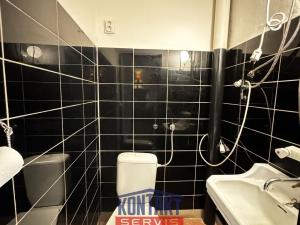 Pronájem vícegeneračního domu, České Budějovice - České Budějovice 5, I. Olbrachta, 160 m2