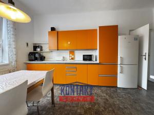 Pronájem vícegeneračního domu, České Budějovice - České Budějovice 5, I. Olbrachta, 160 m2