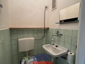 Pronájem vícegeneračního domu, České Budějovice - České Budějovice 5, I. Olbrachta, 160 m2