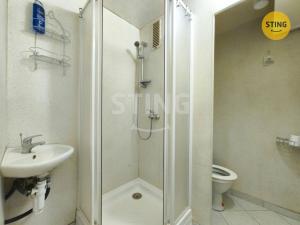 Pronájem bytu 1+1, Třebíč, Myslbekova, 32 m2