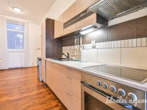 Pronájem bytu 1+1, Brno, Francouzská, 48 m2