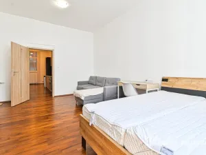 Pronájem bytu 1+1, Brno, Francouzská, 48 m2