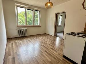 Pronájem bytu 1+1, Cheb, Přátelství, 37 m2