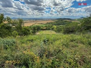 Prodej pozemku pro bydlení, Žitenice, 1565 m2