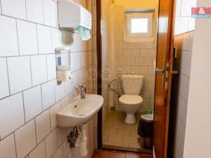 Prodej obchodního prostoru, Vítkov, Opavská, 460 m2