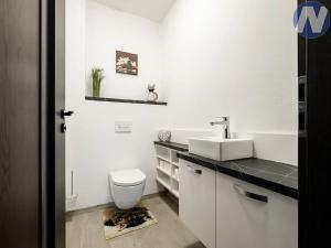 Pronájem rodinného domu, Veselí nad Lužnicí, F. Líbala, 150 m2