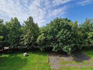 Pronájem bytu 2+kk, Praha - Vršovice, Ruská, 62 m2