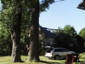 Prodej zemědělské usedlosti, Vítkov - Nové Těchanovice, 200 m2