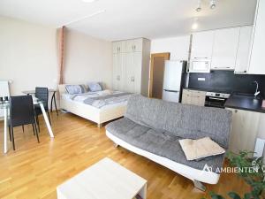 Pronájem bytu 1+kk, Brno, 52 m2