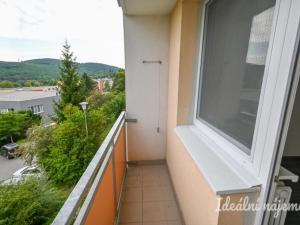 Pronájem bytu 2+1, Brno, Běly Pažoutové, 55 m2