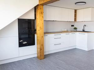 Pronájem bytu 1+kk, Brno, Charvatská, 52 m2