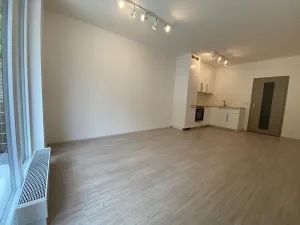Pronájem bytu 1+kk, Libčice nad Vltavou, Pod Hliníkem, 33 m2