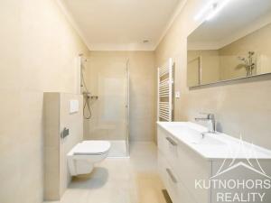 Pronájem bytu 2+kk, Vrdy, Koudelov, 55 m2