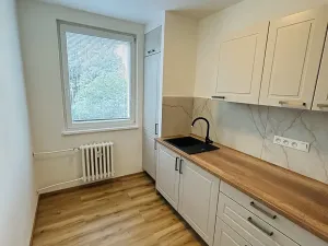 Pronájem bytu 1+1, Přerov, Pod Skalkou, 33 m2