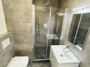 Pronájem bytu 1+1, Přerov, Pod Skalkou, 33 m2