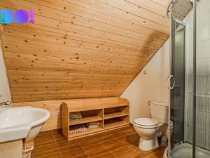 Prodej chalupy, Dolní Morava - Velká Morava, 315 m2