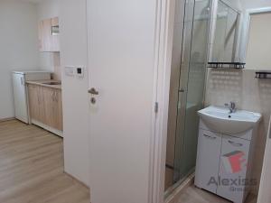 Pronájem bytu 1+kk, Čelákovice - Záluží, Vořechovka, 24 m2