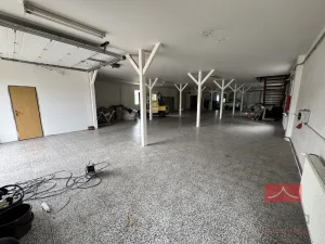 Prodej komerční nemovitosti, Zruč nad Sázavou - Nesměřice, 1095 m2