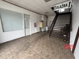 Prodej komerční nemovitosti, Zruč nad Sázavou - Nesměřice, 1095 m2