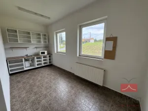 Prodej komerční nemovitosti, Zruč nad Sázavou - Nesměřice, 1095 m2