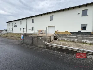 Prodej komerční nemovitosti, Zruč nad Sázavou - Nesměřice, 1095 m2