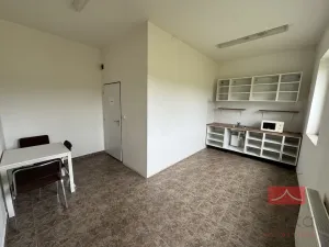 Prodej komerční nemovitosti, Zruč nad Sázavou - Nesměřice, 1095 m2