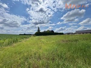 Prodej pozemku pro bydlení, Kadaň, Vinohrady, 1605 m2