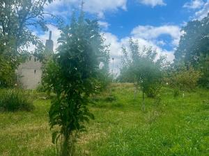 Prodej pozemku pro bydlení, Havlíčkova Borová, 551 m2