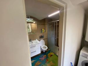 Pronájem rodinného domu, Liběchov, 76 m2