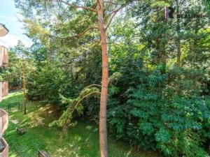 Prodej bytu 1+1, Brno - Bystrc, Vondrákova, 31 m2