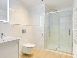 Pronájem bytu 2+kk, Olomouc - Nová Ulice, Třída Jiřího Pelikána, 74 m2