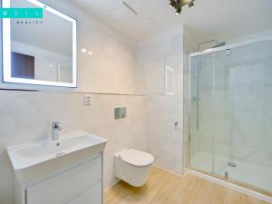 Pronájem bytu 2+kk, Olomouc - Nová Ulice, Třída Jiřího Pelikána, 74 m2