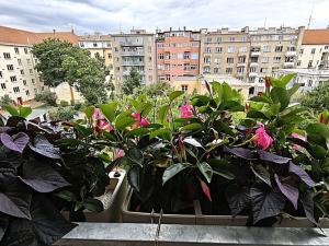 Prodej bytu 4+kk, Praha, Na hroudě, 90 m2
