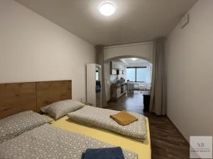 Pronájem bytu 1+kk, Karlovy Vary, Libušina, 55 m2