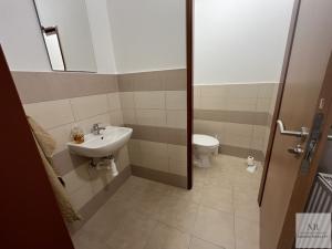 Pronájem bytu 1+kk, Karlovy Vary, Libušina, 55 m2