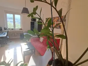 Prodej bytu 1+1, Praha - Nusle, Hvězdova, 45 m2