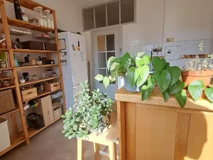 Prodej bytu 1+1, Praha - Nusle, Hvězdova, 45 m2