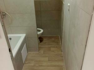 Pronájem bytu 1+1, Ústí nad Labem - Střekov, Truhlářova, 36 m2