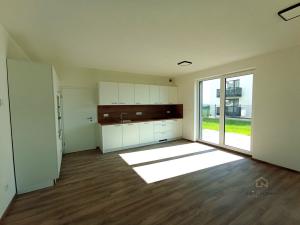 Pronájem bytu 2+kk, Plzeň - Litice, 52 m2