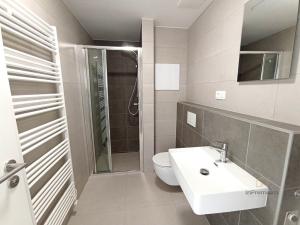 Pronájem bytu 2+kk, Plzeň - Litice, 52 m2
