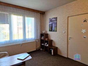 Pronájem bytu 1+1, Stříbro, Větrná, 39 m2